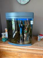 Compleet zeeaquarium van 130 l, Dieren en Toebehoren, Ophalen, Gebruikt