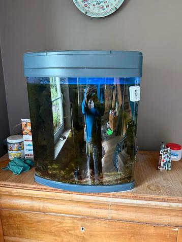 Compleet zeeaquarium van 130 l beschikbaar voor biedingen