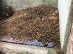 Gratis echte Baalse paardenmest, Tuin en Terras, Aarde en Mest, Ophalen, Mest