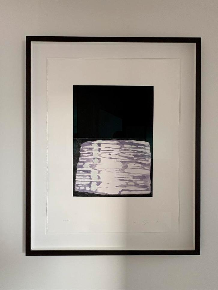 Luc Tuymans - The Temple, Antiek en Kunst, Kunst | Litho's en Zeefdrukken, Ophalen of Verzenden