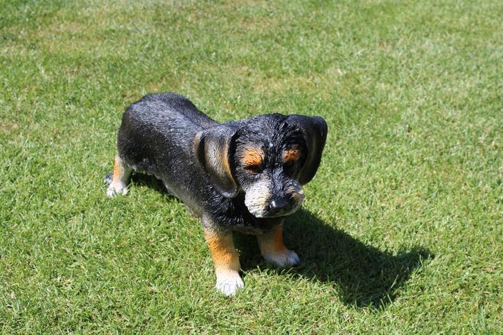Standbeeld van een levensgrote TECKEL!, Tuin en Terras, Tuinbeelden, Nieuw, Dierenbeeld, Kunststof, Ophalen of Verzenden