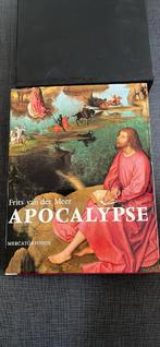 Apocalypse - Frits van der Meer, Boeken, Ophalen of Verzenden, Zo goed als nieuw, Frits van der Meer, Schilder- en Tekenkunst