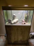 Aquarium aqualantis 150 liter, Dieren en Toebehoren, Ophalen, Gebruikt, Gevuld zoetwateraquarium