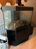 Aquarium, Dieren en Toebehoren, Ophalen, Gebruikt
