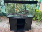 Aquarium Jewel Vision 240, Ophalen, Gebruikt, Leeg aquarium