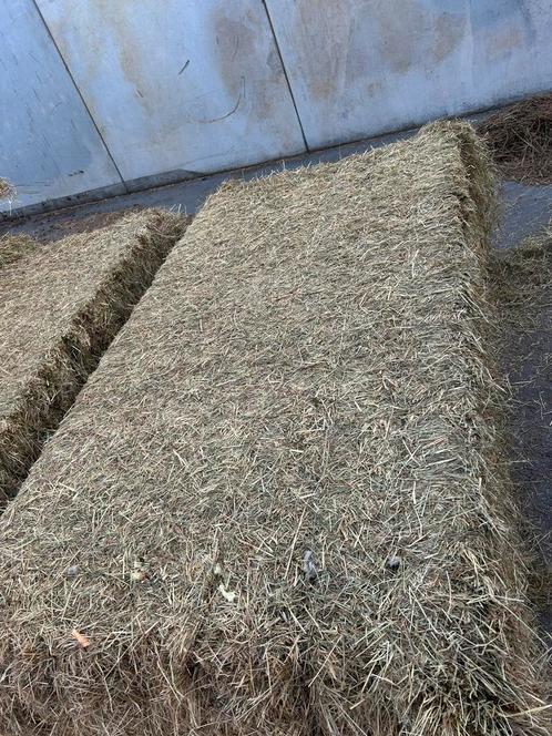 Hooi te koop, Zakelijke goederen, Landbouw | Veevoer, Ophalen of Verzenden