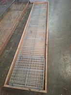 Tentoonstellingskooien, Animaux & Accessoires, Oiseaux | Pigeons