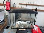 Aquarium superfish 60, Ophalen, Zo goed als nieuw