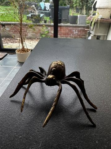 Kleine, decoratieve kast met spin en curiositeit beschikbaar voor biedingen