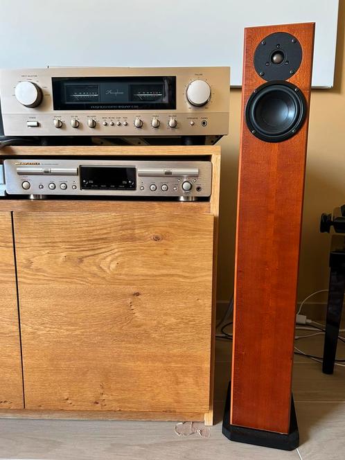 Totem Arro, Audio, Tv en Foto, Luidsprekerboxen, Zo goed als nieuw, Front, Rear of Stereo speakers, Overige merken, Ophalen