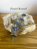 Bracelet Fossil Coral en métal argenté, Enlèvement ou Envoi, Neuf