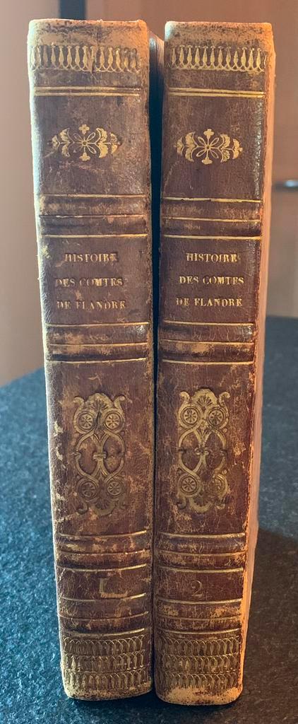 Histoire des comtes de Flandre - 2 delen uit 1863, Antiek en Kunst, Antiek | Boeken en Manuscripten, Ophalen of Verzenden