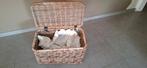 Opbergmand Rotan / Riet met deksel, Huis en Inrichting, Woonaccessoires | Schalen en Manden, Ophalen, Mand, Zo goed als nieuw