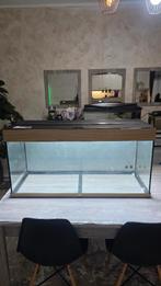 Juwel aquarium Rio 180 Met dag en nacht light en filter, Dieren en Toebehoren, Vissen | Aquaria en Toebehoren, Ophalen of Verzenden