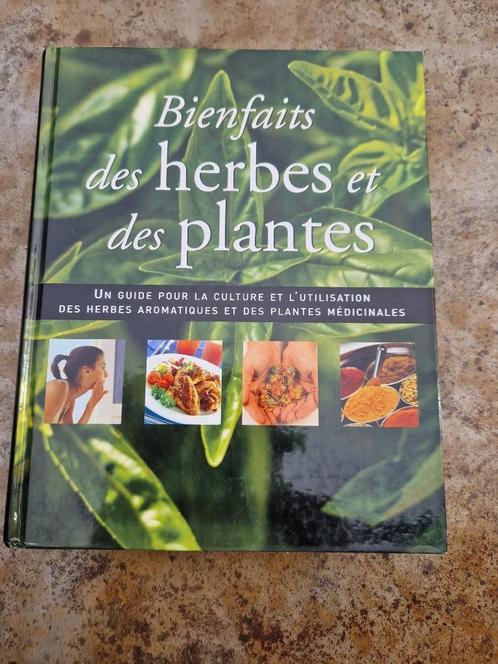 Bienfaits des herbes et des plantes (Jennie Harding), Cd's en Dvd's, Dvd's | Drama, Zo goed als nieuw, Overige genres, Ophalen of Verzenden