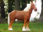 Beeld Paard Blond - 110 cm - Polystone, Tuin en Terras, Ophalen of Verzenden, Nieuw