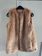 Gillets, Ophalen, Zo goed als nieuw, Maat 38/40 (M)