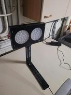 Lampe recifal, Enlèvement