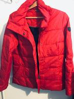 #doudoune Mc Gregor neuve, Vêtements | Femmes, Vêtements de sports d'hiver, Mc Gregor, Neuf, Taille 38/40 (M), Blouson