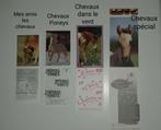 Stickers sur les chevaux, Collections, Comme neuf, Animal et Nature, Enlèvement