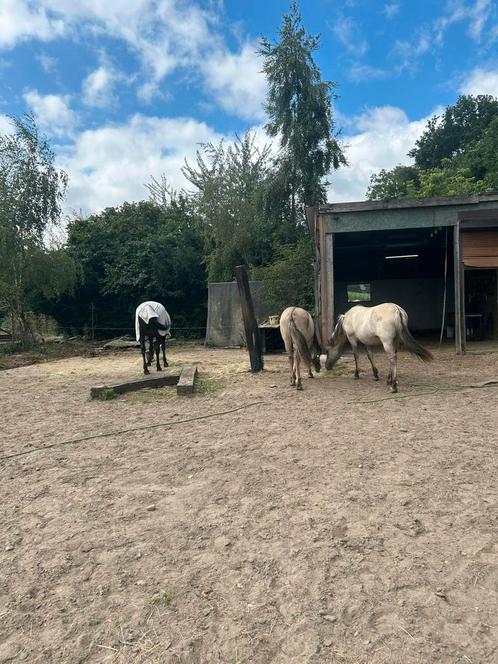 Weide gezocht, Tickets en Kaartjes, Kortingen en Cadeaubonnen