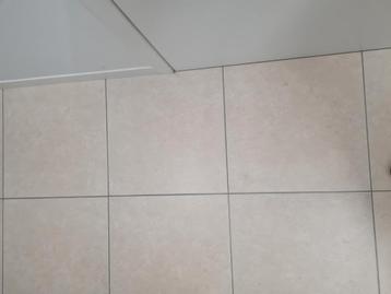 Lichte marmer achtige tegel 1,5m² beschikbaar voor biedingen