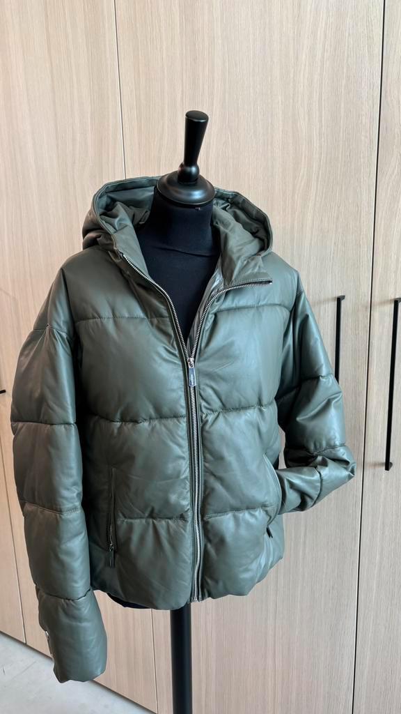 Damesjas Oakwood Paris, Kleding | Dames, Jassen | Winter, Nieuw, Maat 46/48 (XL) of groter, Overige kleuren, Ophalen