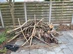 Brandhout gesnoeide takken GRATIS, Tuin en Terras, Ophalen, Takken