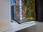 Aquarium verlichting, Ophalen of Verzenden, Nieuw, Verlichting of Verwarming