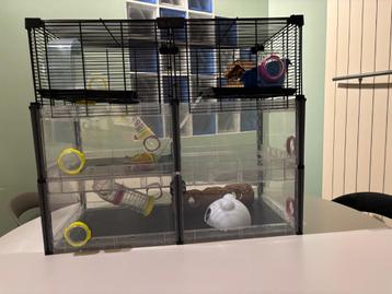 Groot Ferplast multipla hamsterkooi Crystal en toebehoren. beschikbaar voor biedingen