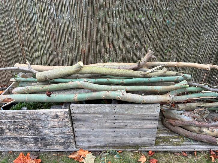 Bois de chauffage à donner, Tuin en Terras, Brandhout, Takken, Ophalen