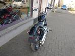 Harley FXST Softail standard- 2021- 6506 km, Motoren, 1746 cc, 2 cilinders, Chopper, Bedrijf