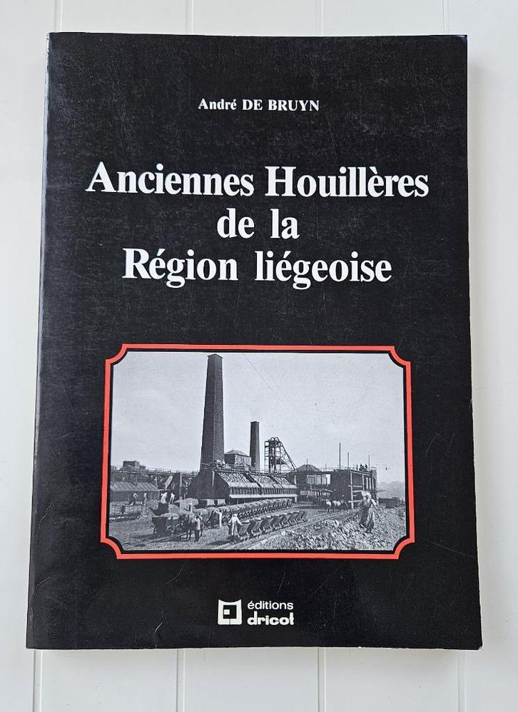 Voormalige kolenfabrieken in de regio Luik, Boeken, Geschiedenis | Nationaal, Gelezen, Ophalen of Verzenden