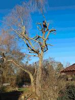 Élagage et abattage d'arbres dangereux Intervention rapide, Ophalen of Verzenden