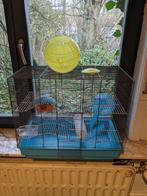 Hamsterkooi, Enlèvement, Utilisé, Cage, Moins de 60 cm