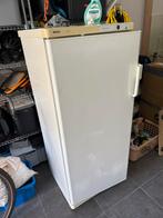 Koelkast bosch 500 liter, Gebruikt, 140 tot 160 cm, Ophalen, Vrieskast
