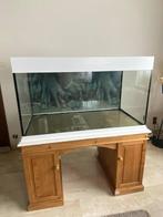 MOOI AQUARIUM 400 LITER + POMP - 1,5 cm dik glas., Dieren en Toebehoren, Ophalen, Zo goed als nieuw, Leeg aquarium