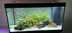 Juwel rio 350 met kast, Dieren en Toebehoren, Ophalen, Gebruikt
