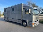 Vrachtwagen voor vervoer van paarden/ponys, Auto's, Vrachtwagens, MAN, Particulier, Te koop