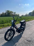 Honda camino, Particulier, Sport