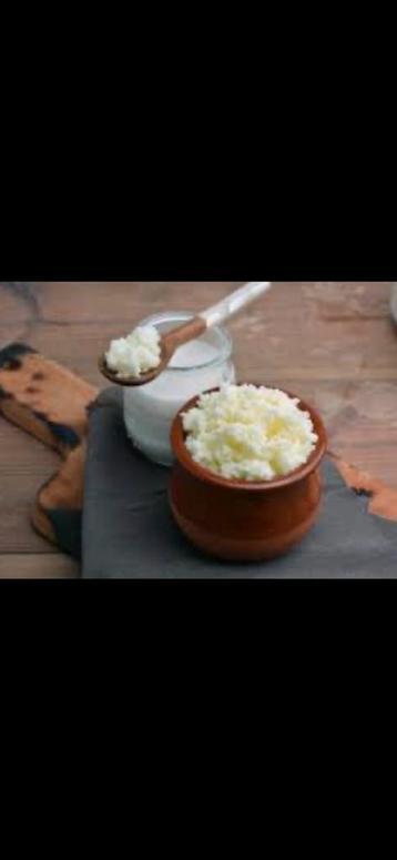 Youchert bloemmetjes of kefir  beschikbaar voor biedingen