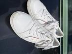 Tommy hilfiger dames sneakers maat 38, Ophalen, Tommy hilfiger, Wit, Zo goed als nieuw