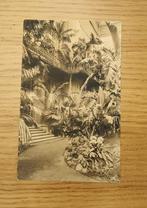 Antwerpen dierentuin feestpaleis wintertuin, Ophalen of Verzenden, Ongelopen, Antwerpen