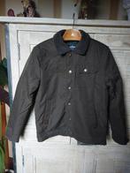 Veste courte pour homme taille XL (52)jamai porté, Enlèvement, Autres tailles