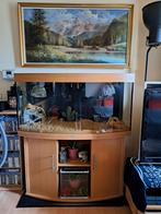 Terrarium Juwel Vision 121 x 46 x 62, Ophalen, Gebruikt, Terrarium of Paludarium