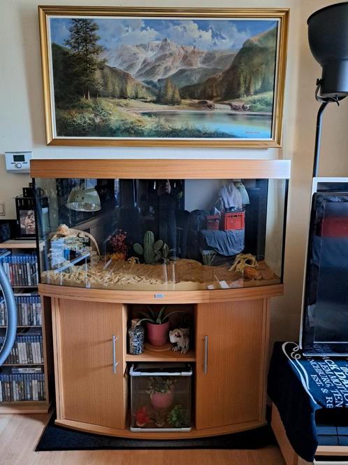 Terrarium Juwel Vision 121 x 46 x 62, Dieren en Toebehoren, Reptielen en Amfibieën | Toebehoren, Gebruikt, Terrarium of Paludarium