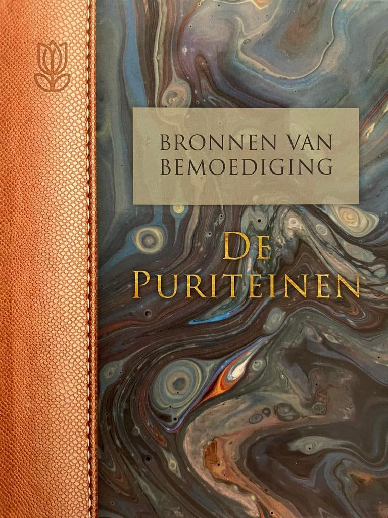 De Puriteinen, Boeken, Godsdienst en Theologie, Zo goed als nieuw, Ophalen of Verzenden