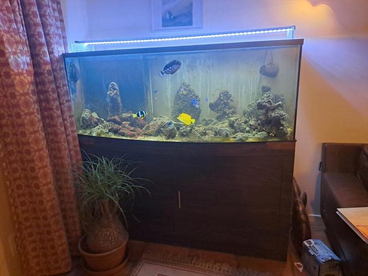 Aquarium et matériel de l'aquarium, Dieren en Toebehoren, Vissen | Aquaria en Toebehoren, Gebruikt, Ophalen