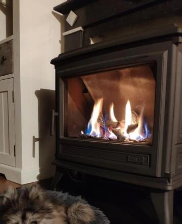 Gashaard Godin beschikbaar voor biedingen