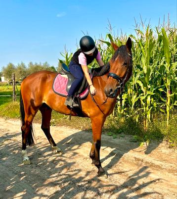 Fleur brune super courageuse 